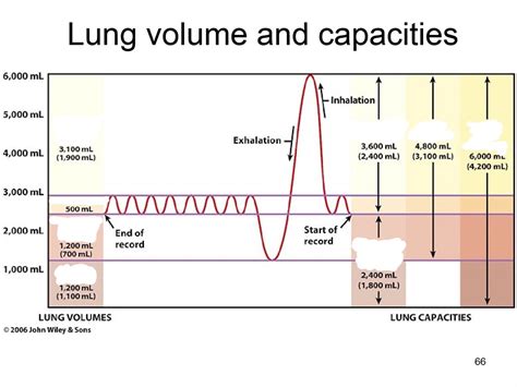 leon marchand lung capacity